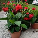 Am By Interhome * Balatonmáriafürdő