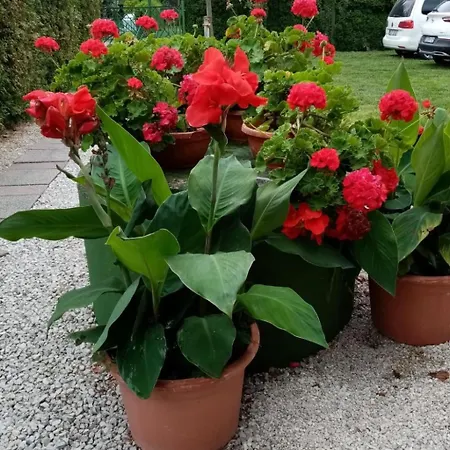 Am By Interhome * Balatonmáriafürdő