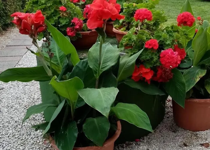 Am By Interhome * Балатонмариафюрдё